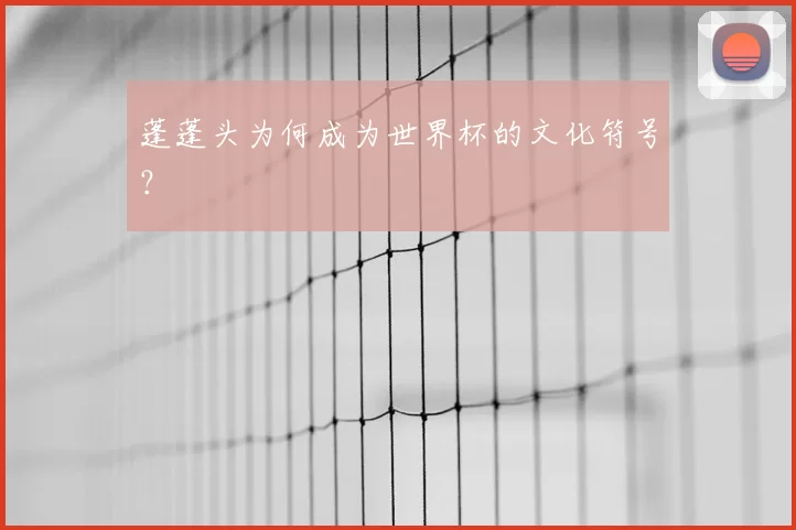 蓬蓬头为何成为世界杯的文化符号?