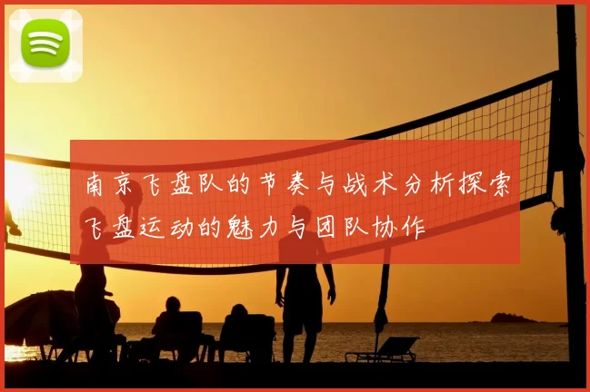 南京飞盘队的节奏与战术分析探索飞盘运动的魅力与团队协作