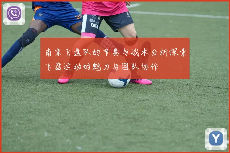 南京飞盘队的节奏与战术分析探索飞盘运动的魅力与团队协作