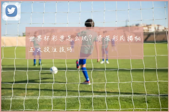 世界杯彩票怎么玩？资深彩民揭秘五大投注技巧