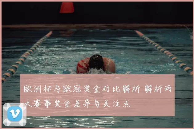欧洲杯与欧冠奖金对比解析 解析两大赛事奖金差异与关注点