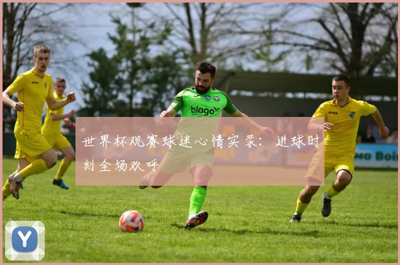世界杯观赛球迷心情实录:进球时刻全场欢呼