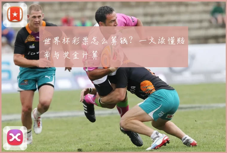 世界杯彩票怎么算钱？一文读懂赔率与奖金计算