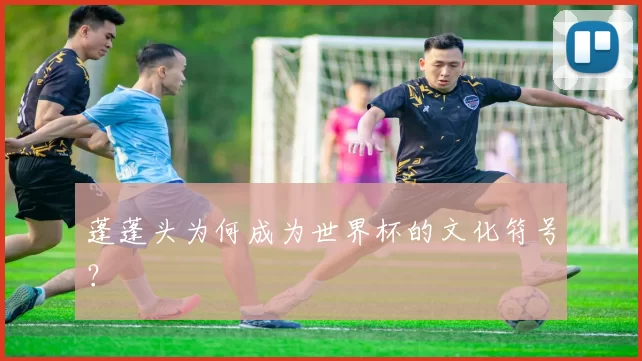 蓬蓬头为何成为世界杯的文化符号?