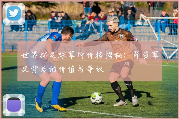 世界杯足球草坪价格揭秘:昂贵草皮背后的价值与争议