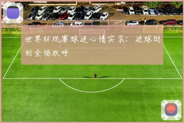 世界杯观赛球迷心情实录:进球时刻全场欢呼