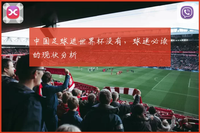 中国足球进世界杯没有,球迷必读的现状分析