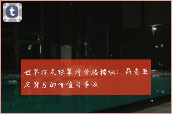 世界杯足球草坪价格揭秘：昂贵草皮背后的价值与争议